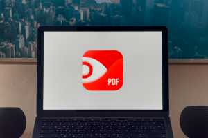 PDF Expert review